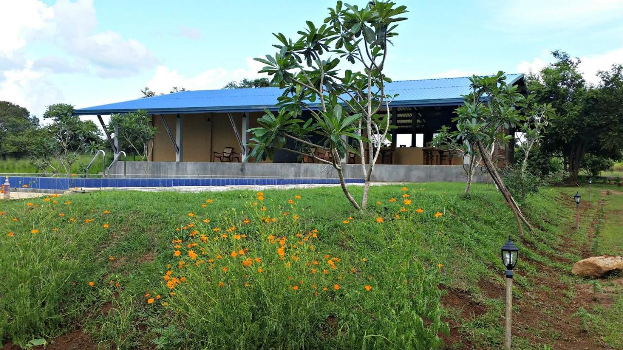 Hotel Birdwing Sigiriya Esterno foto