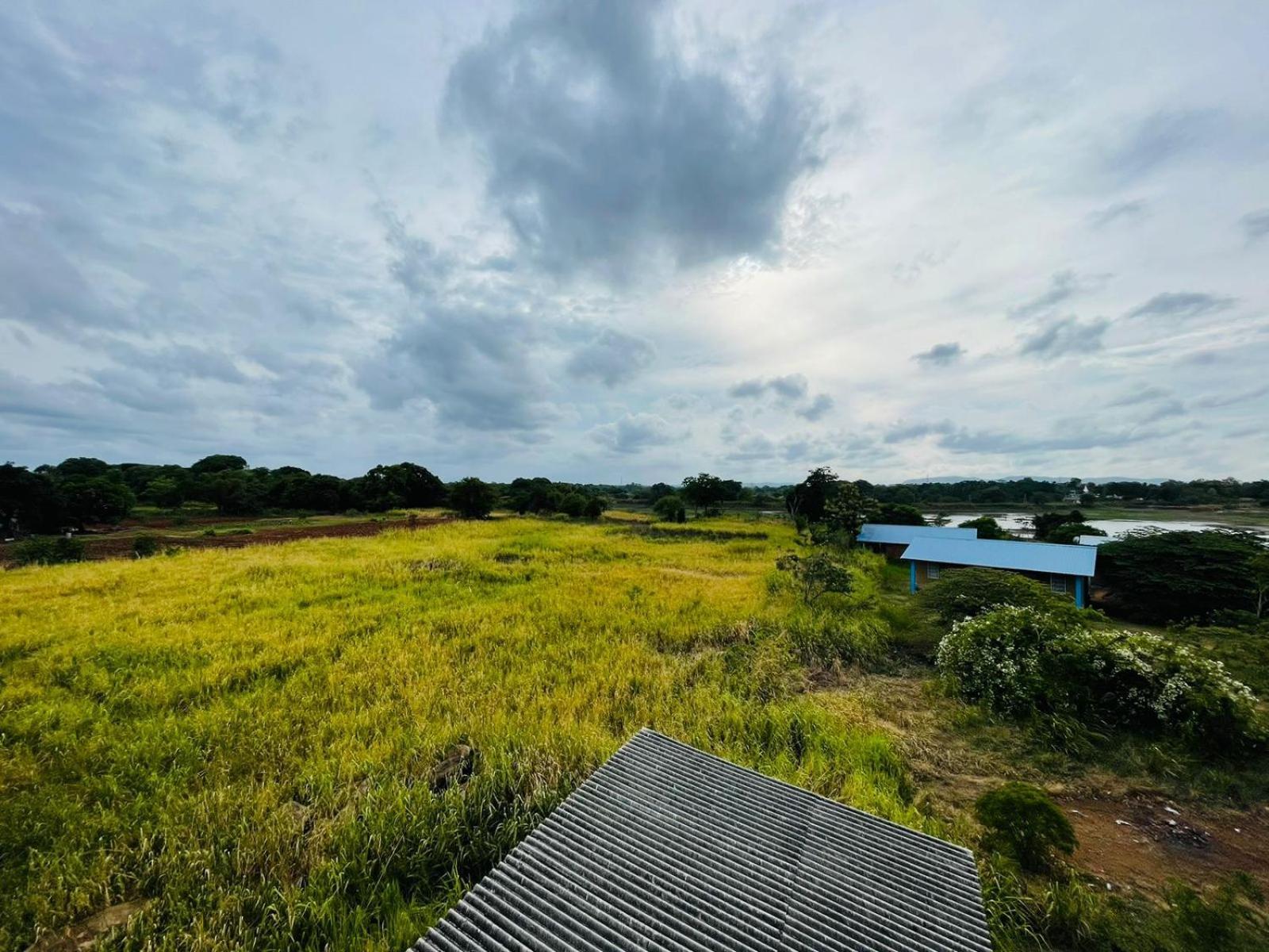 Hotel Birdwing Sigiriya Esterno foto