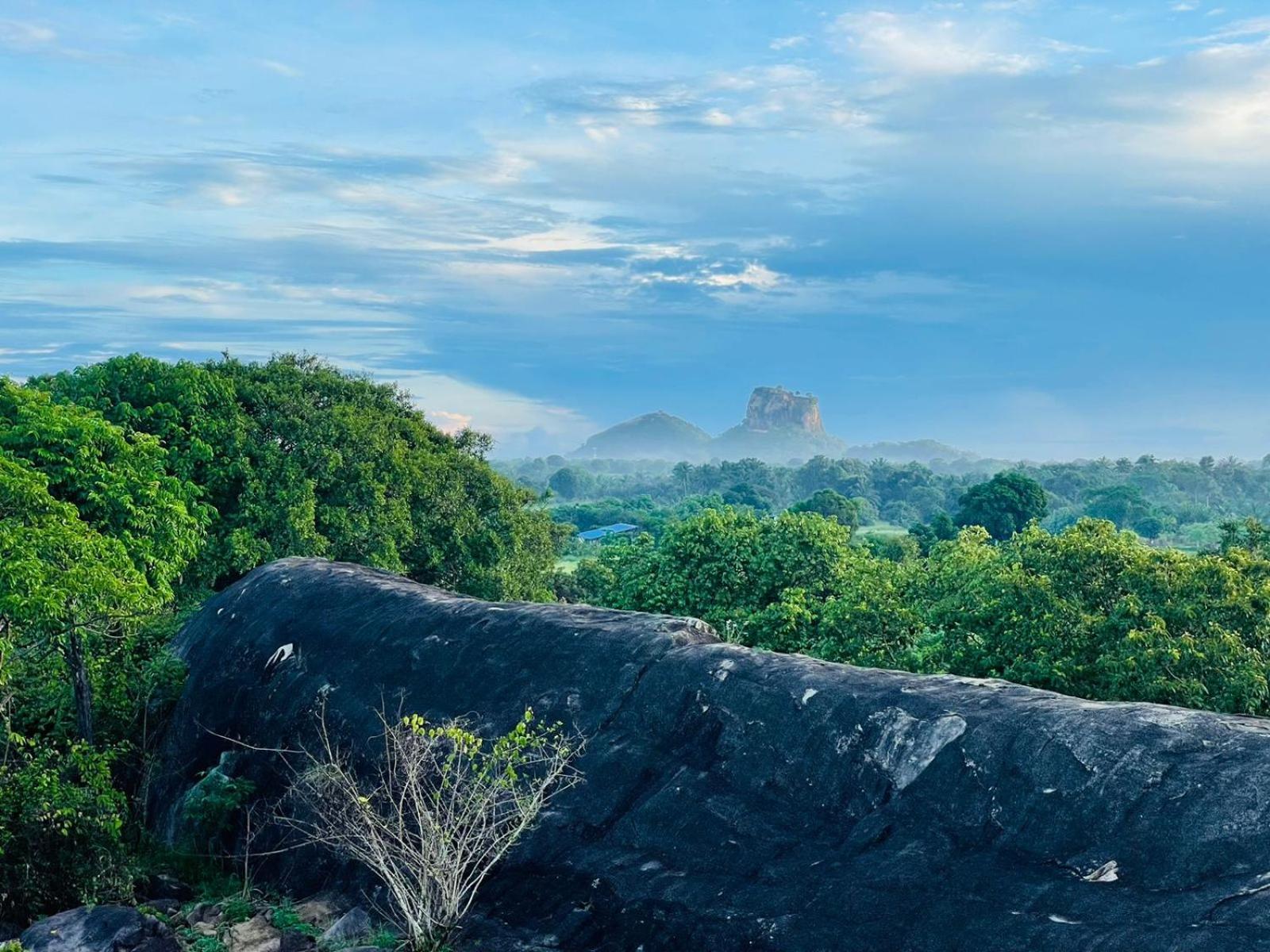 Hotel Birdwing Sigiriya Esterno foto