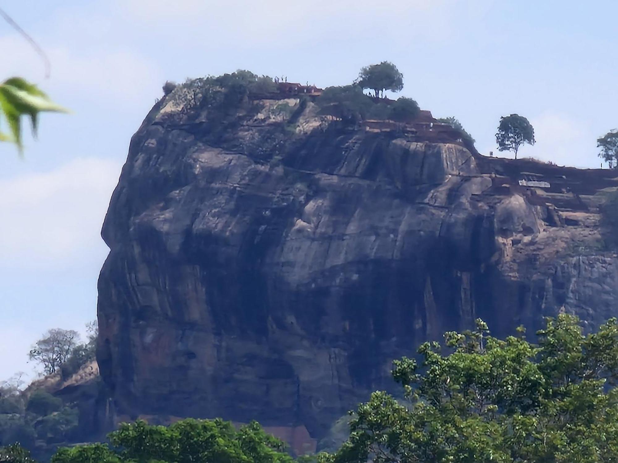 Hotel Birdwing Sigiriya Esterno foto