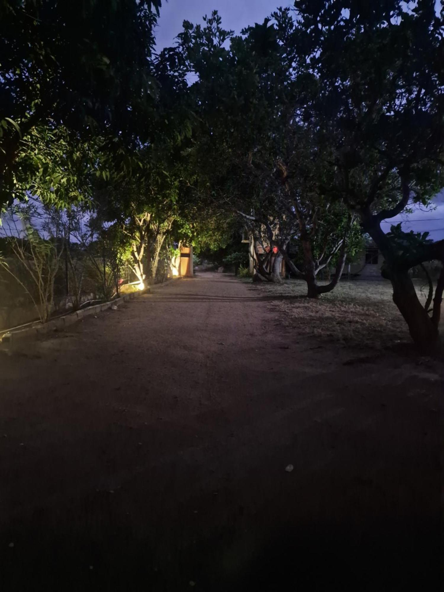 Hotel Birdwing Sigiriya Esterno foto